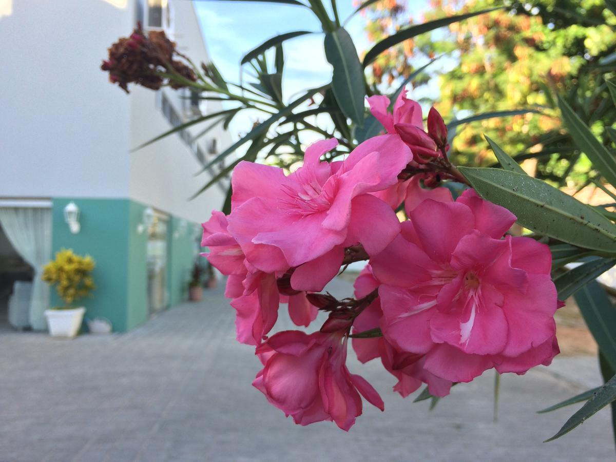 Hotel Scenarium 3*
